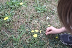1000033907