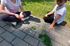 20260602_121657