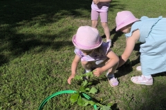 IMG_20260623_094144