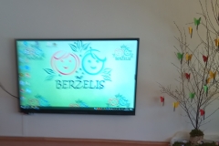 Berzelis
